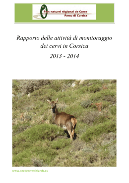 2013-20142013-2014 - One deer two islands