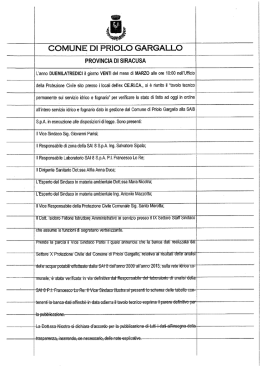 VERB. 20-03.2013 - Comune di Priolo Gargallo