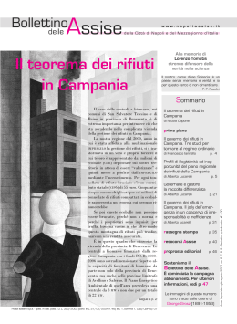 Il teorema dei rifiuti - Assise della citt&agrave; di Napoli e del Mezzogiorno d