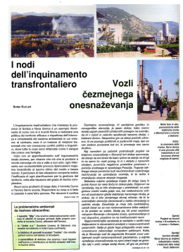dell`inquinamento