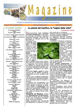 Numero 61 - Agosto 2010