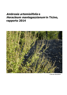 Ambrosia artemisiifolia e Heracleum