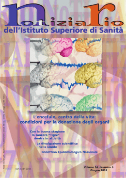 L`encefalo, centro della vita - Istituto Superiore di Sanit&agrave;