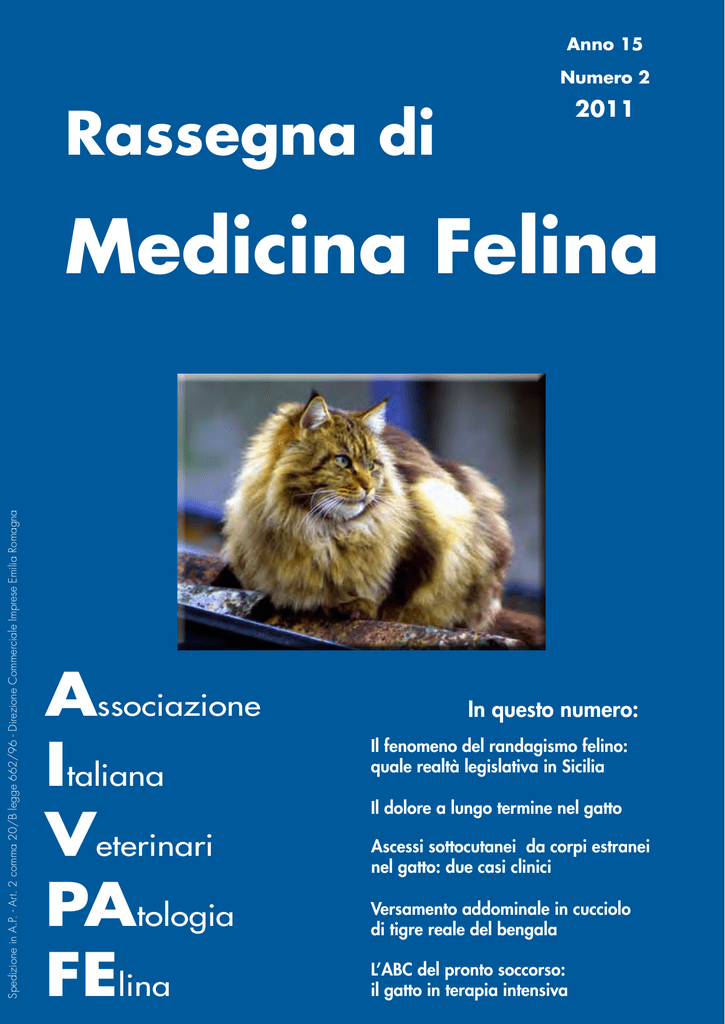 Costigan velocità datazione