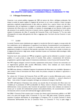 CONSORZIO PRIULA- CONSORZIO TV TRE 1.1 Il Gruppo Contarin