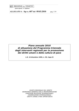 Piano annuale 2010 - Centro Diritti Umani