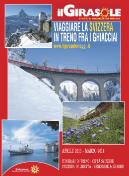 sulla linea del confine e le cascate del Reno