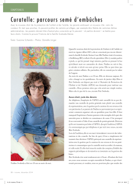 Curatelle: parcours sem&eacute; d`emb&ucirc;ches