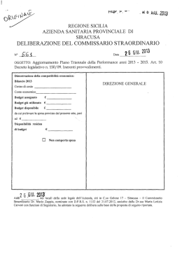 il piano triennale delle performance 2013-2015