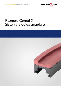 Rexnord Combi-X Sistema a guida angolare