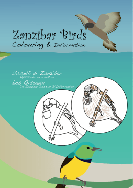 Zanzibar Birds
