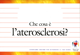 Cos` &egrave; il colesterolo
