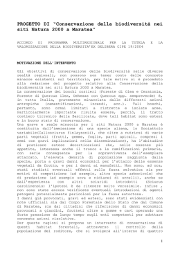 Conservazione della biodiversità nei siti Natura 2000 a Maratea