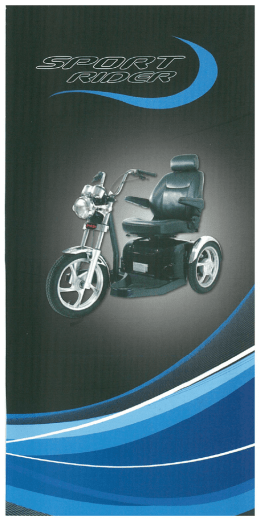 Scheda tecnica_elettronica sport rider