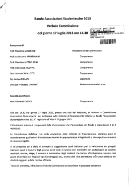 Verbale Commissione 17 luglio 2013