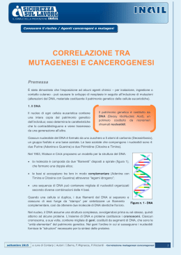 correlazione tra mutagenesi e cancerogenesi