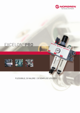 excelon®pro - to site