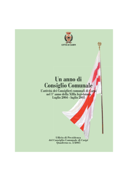Un anno in Consiglio Comunale - documento in formato