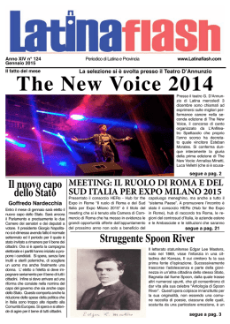 The New Voice 2014