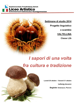 Settimane di studio 2014 Progetto linguistico e scambio