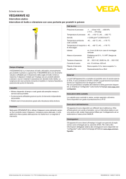 VEGAWAVE 62 - VEGA Americas, Inc.