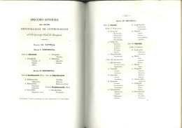 Page 1 Page 2 Dendropliidiua. _ Heterodontina. Lycodontina. 25