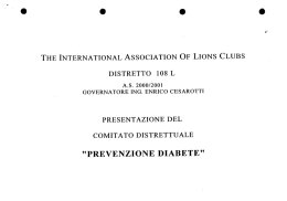 documento illustrativo