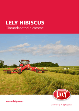 LELY HIBISCUS