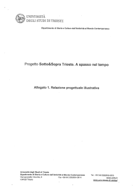 universit&agrave; degli studi di trieste