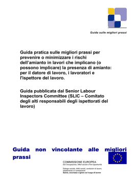 Linee Guida dell`Unione Europea sull`amianto