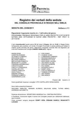 Deliberazione del Consiglio Provinciale n. 111 del 23/06/2011