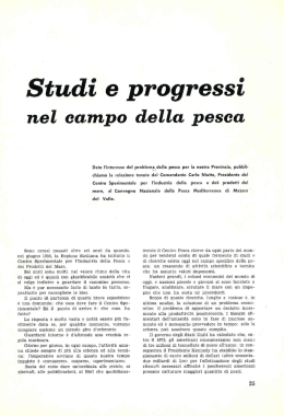 Studi e progressi