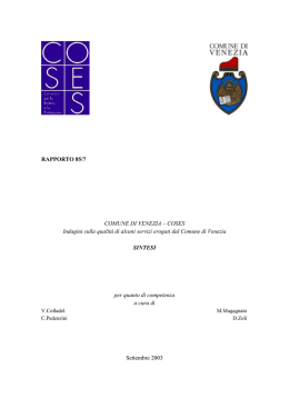 Sintesi - Comune di Venezia