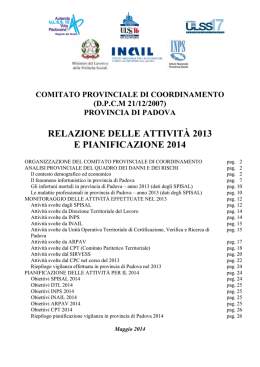 Relazione delle attività 2013 e pianificazione 2014