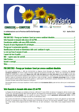 Notiziario03