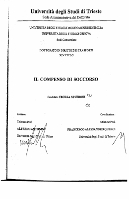 OpenstarTs - Universit&agrave; degli Studi di Trieste