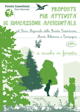 nel Parco Nazionale delle Foreste Casentinesi, Monte