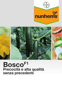 BoscoF1 - Nunhems