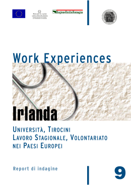 5. Altre opportunita` di work experiences in irlanda
