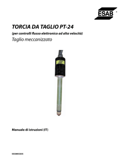 TORCIA DA TAGLIO PT-24