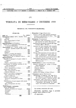 Resoconto stenografico della seduta