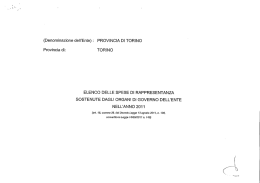 Anno 2011 - Provincia di Torino