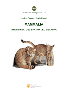 MAMMALIA - I mammiferi del bacino del Metauro