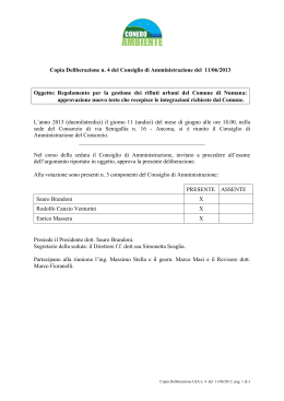 Deliberazione n.04 del Consiglio di Amministrazione del 11-06-2013