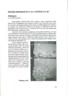 Le vetrine - parte 3