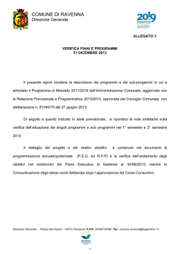 Verifica al 31/12/2013