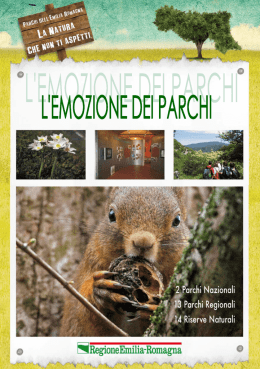 Untitled - Provincia di Reggio Emilia