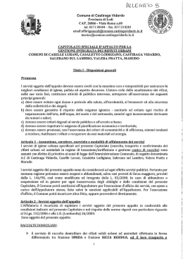ALLEGATO B - Comune di Castiraga Vidardo