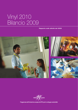Vinyl 2010 Bilancio 2009
