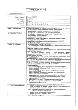 Walter Manni - Siena Parcheggi